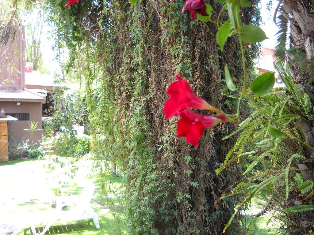 Hosteria Pascana San Salvador de Jujuy Exteriör bild